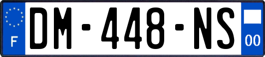 DM-448-NS