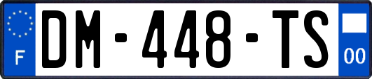 DM-448-TS