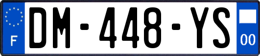 DM-448-YS