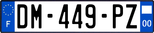 DM-449-PZ