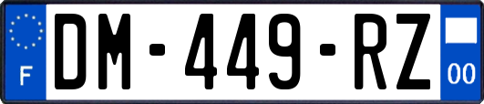 DM-449-RZ