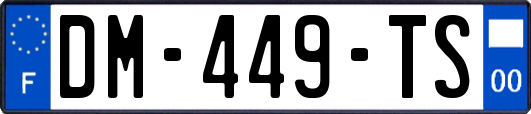 DM-449-TS