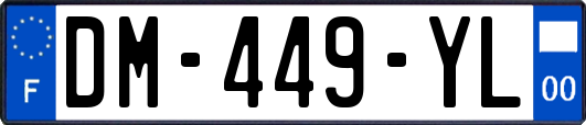 DM-449-YL