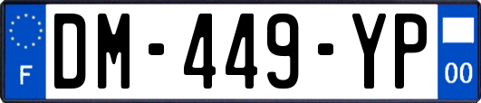 DM-449-YP