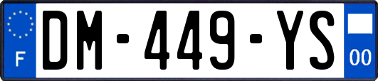 DM-449-YS