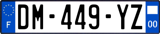 DM-449-YZ