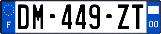 DM-449-ZT