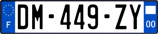 DM-449-ZY