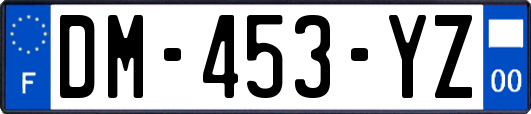 DM-453-YZ