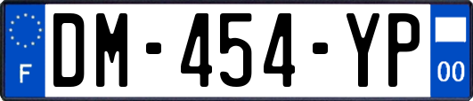 DM-454-YP