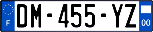 DM-455-YZ