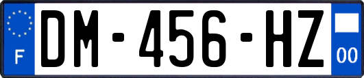 DM-456-HZ