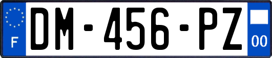 DM-456-PZ