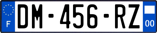 DM-456-RZ
