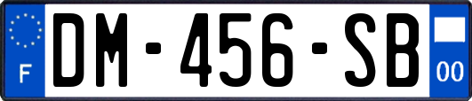 DM-456-SB