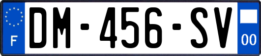 DM-456-SV