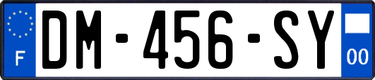DM-456-SY