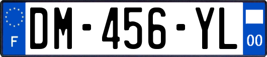 DM-456-YL