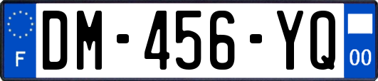 DM-456-YQ