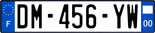 DM-456-YW