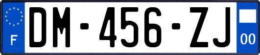 DM-456-ZJ