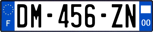 DM-456-ZN