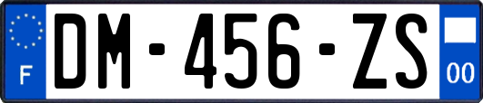 DM-456-ZS