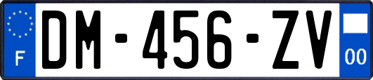 DM-456-ZV