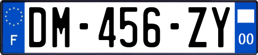 DM-456-ZY