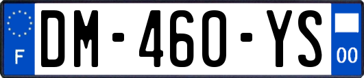 DM-460-YS