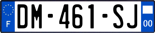 DM-461-SJ