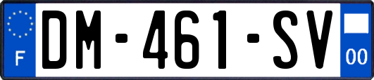 DM-461-SV