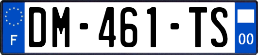 DM-461-TS