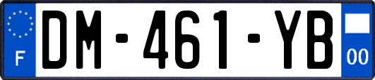 DM-461-YB