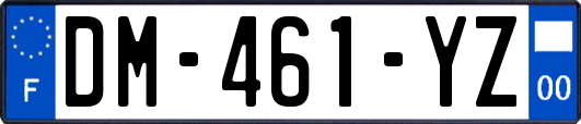 DM-461-YZ