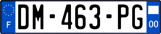 DM-463-PG