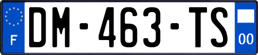 DM-463-TS