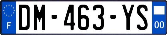 DM-463-YS