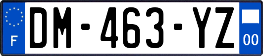 DM-463-YZ