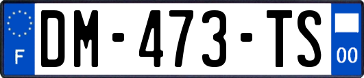 DM-473-TS