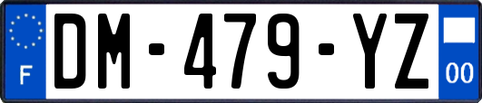 DM-479-YZ