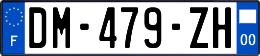 DM-479-ZH