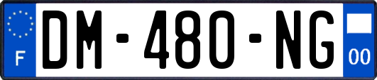DM-480-NG