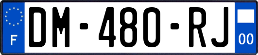 DM-480-RJ