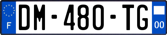 DM-480-TG