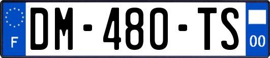 DM-480-TS