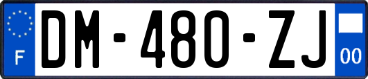 DM-480-ZJ