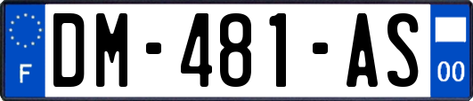 DM-481-AS