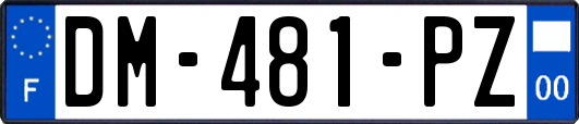 DM-481-PZ