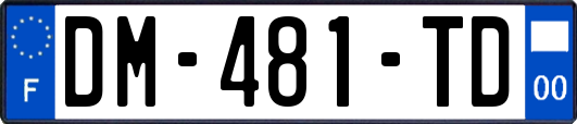 DM-481-TD